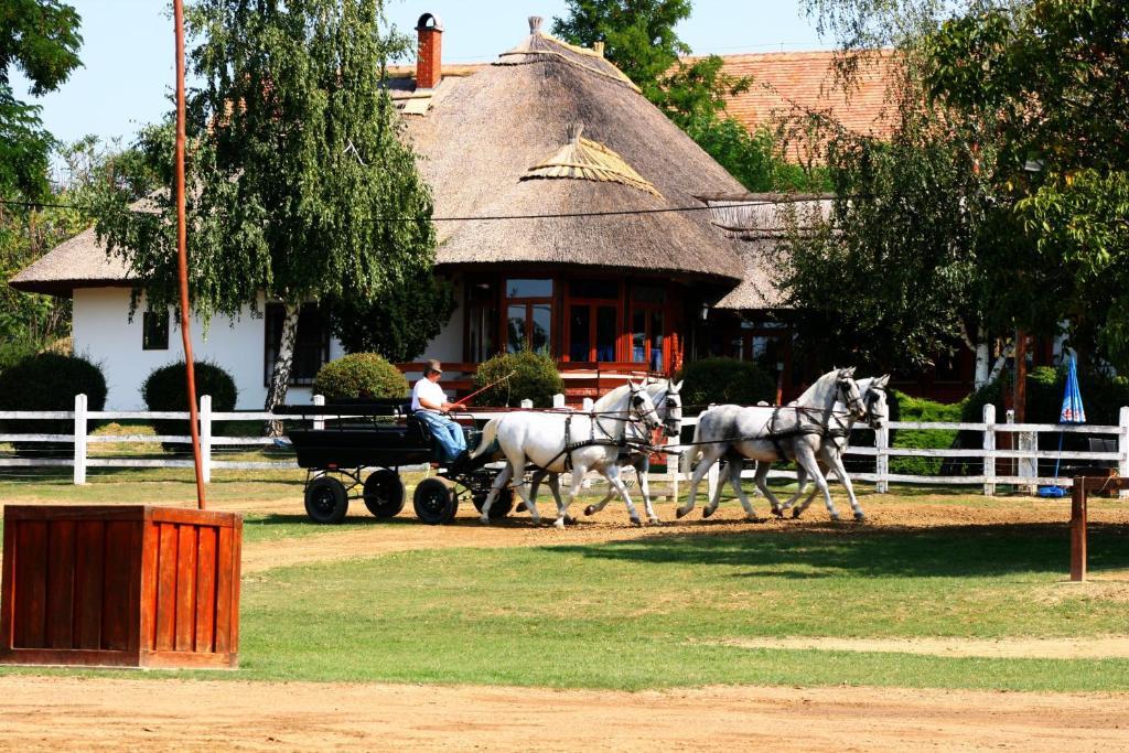 Gasztro Elmenybirtok - Balatonlelle-Radpuszta Hotell Exteriör bild