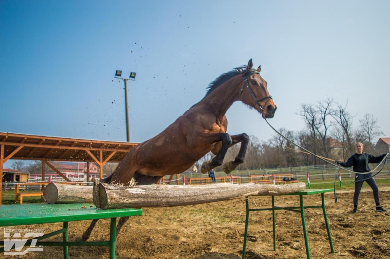 Gasztro Elmenybirtok - Balatonlelle-Radpuszta Hotell Exteriör bild