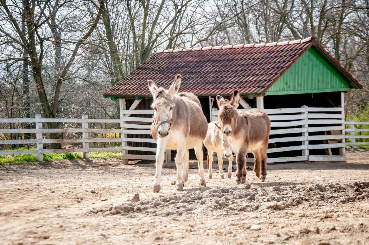 Gasztro Elmenybirtok - Balatonlelle-Radpuszta Hotell Exteriör bild